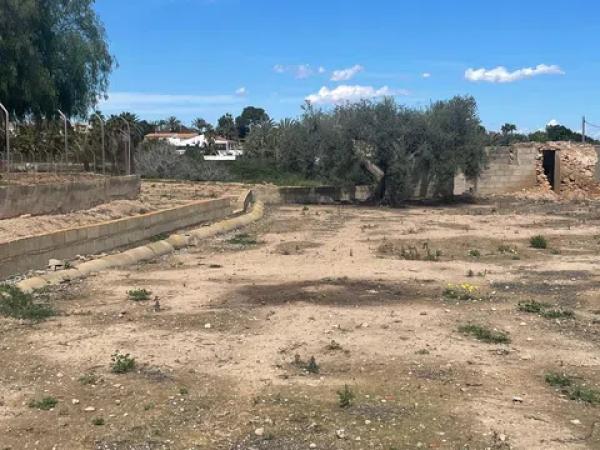 Terreno en Partida Marina, 317 --a