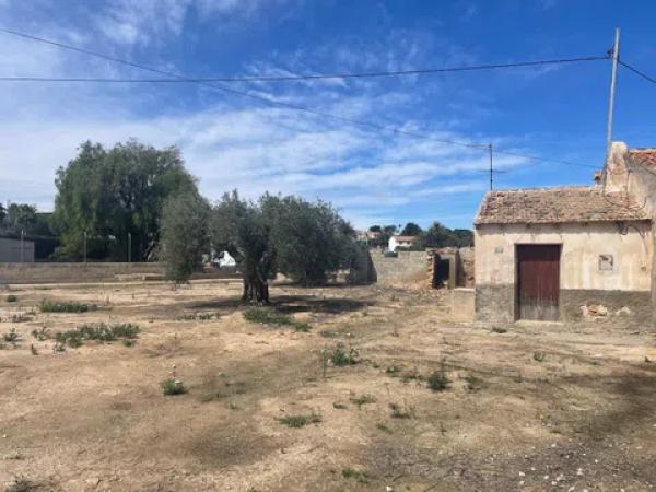 Terreno en Partida Marina, 317 --a