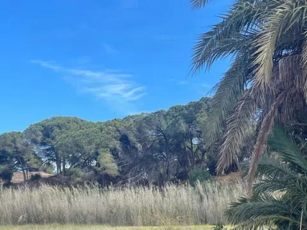 Terreno en Partida Marina, 317 --a