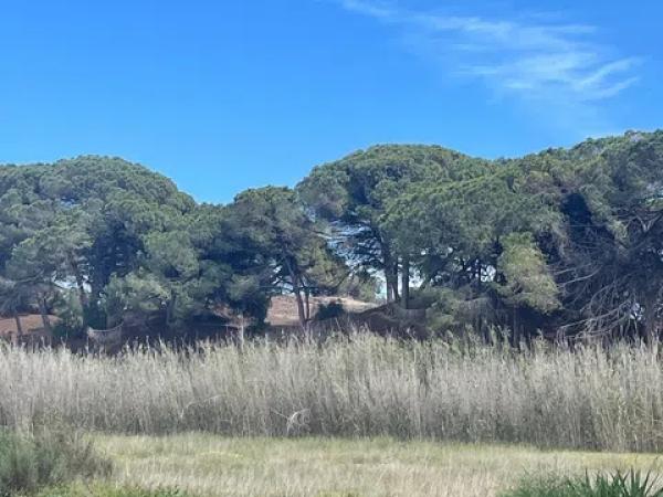 Terreno en Partida Marina, 317 --a