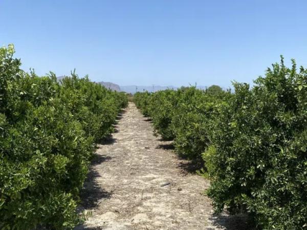 Terreno en Lugar el Manantial
