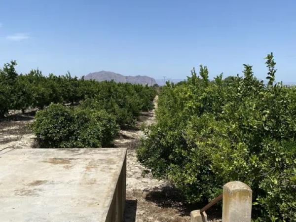 Terreno en Lugar el Manantial