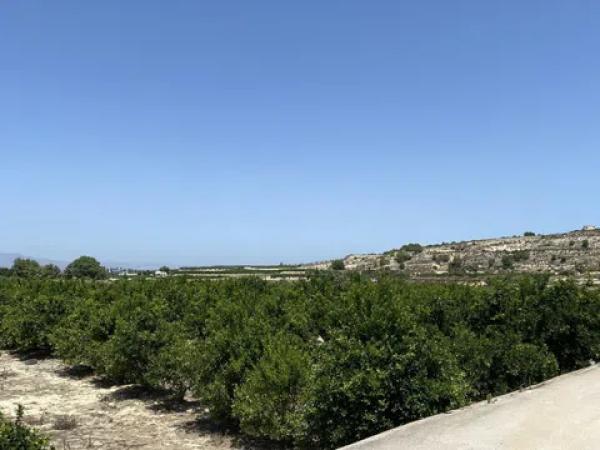 Terreno en Lugar el Manantial