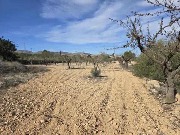 Terreno en Hondón de las Nieves
