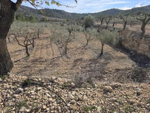 Terreno en Hondón de las Nieves