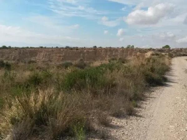 Terreno en Partida Lomas Gp. 2