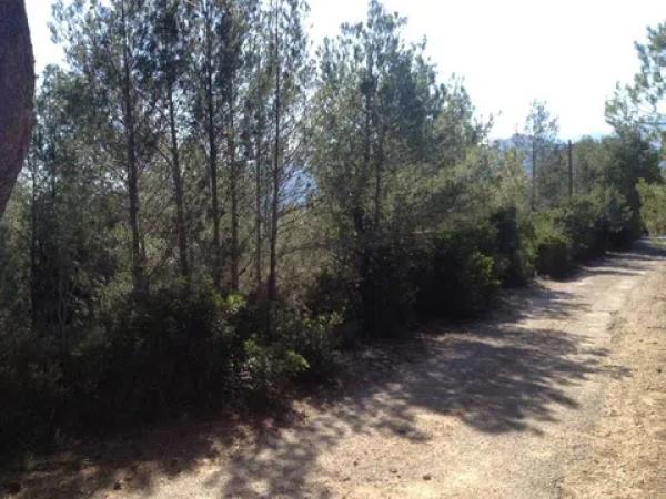 Terreno en via Sense Nom