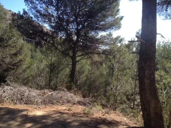 Terreno en via Sense Nom