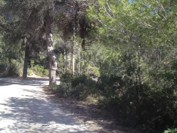 Terreno en via Sense Nom