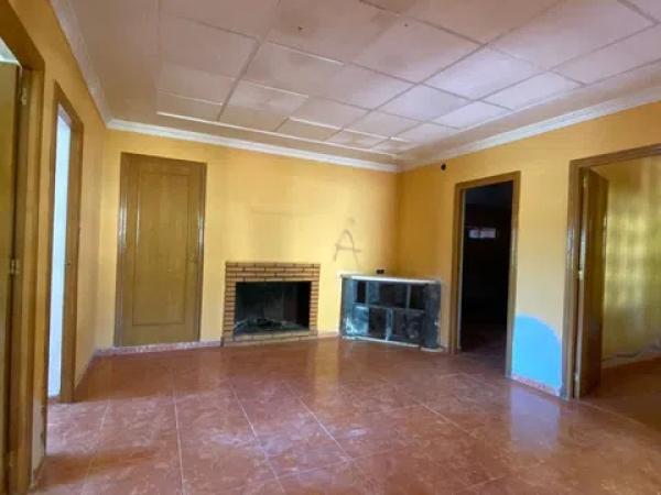 Terreno en carretera Elda-Sax