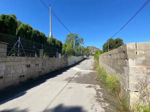 Terreno en carretera Elda-Sax