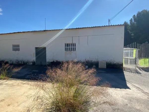 Terreno en carretera Elda-Sax