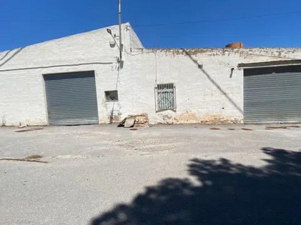 Terreno en carretera Elda-Sax