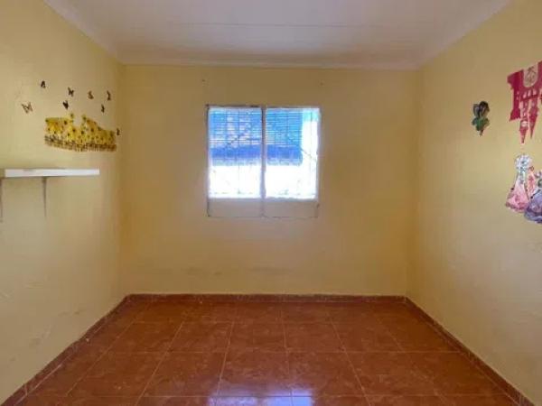 Terreno en carretera Elda-Sax