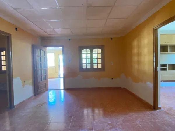 Terreno en carretera Elda-Sax