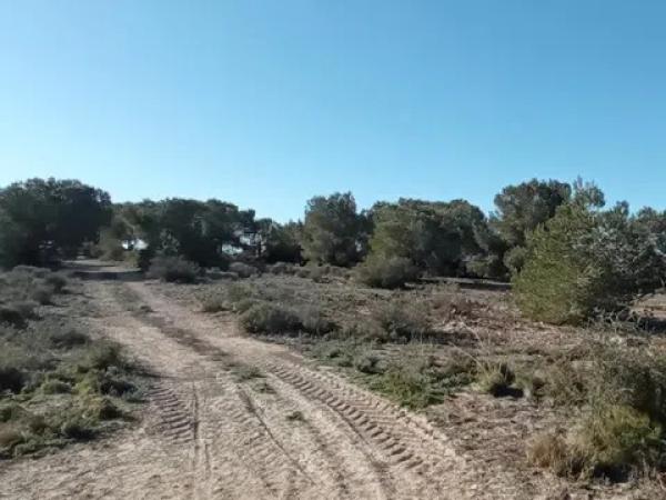 Terreno en Los Meseguer Pol 1, 1