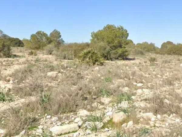 Terreno en Los Meseguer Pol 1, 1