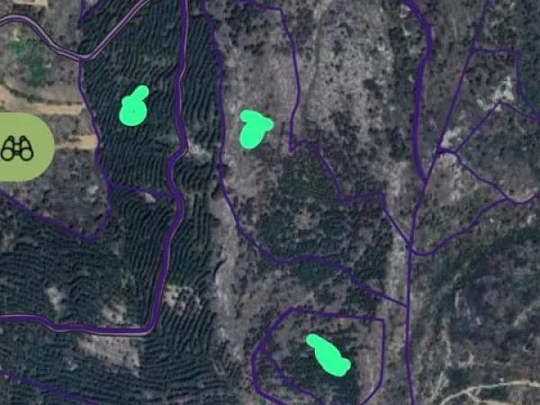 Terreno en via Sense Nom s/n