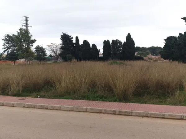 Terreno en calle Alcipe, 31 -25