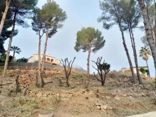 Terreno en calle del Camp del Túria