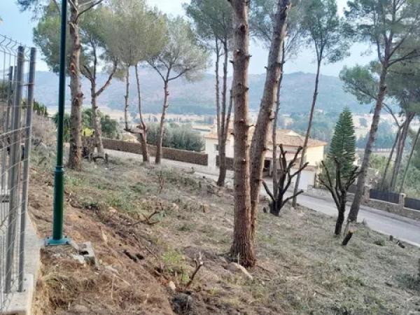 Terreno en calle del Camp del Túria