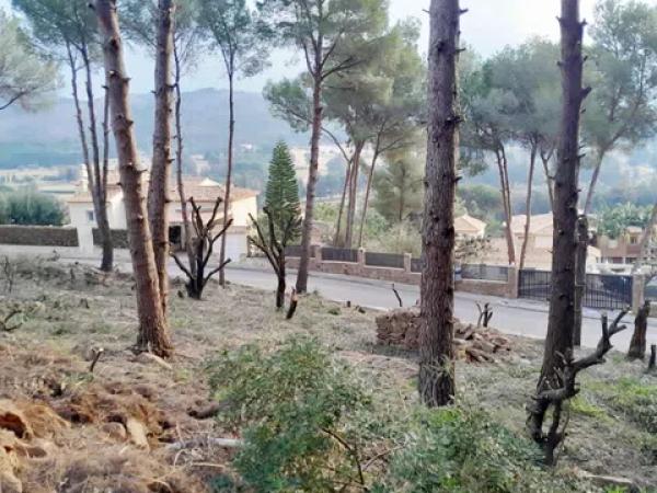 Terreno en calle del Camp del Túria