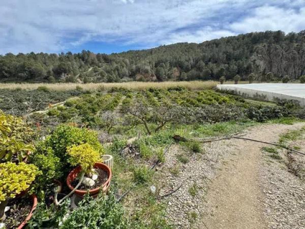 Terreno en Altea la Vella