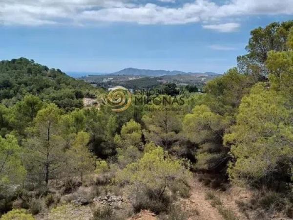 Terreno en Casco urbano