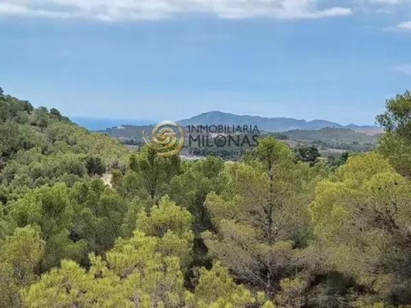 Terreno en Casco urbano