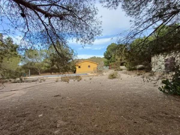 Terreno en Desamparados-Hurchillo-Torremendo