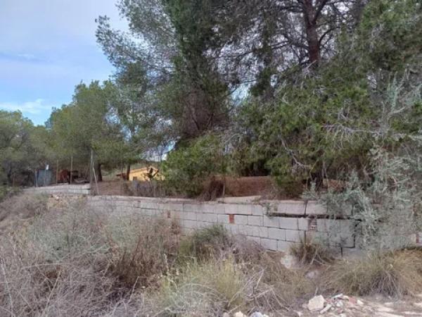 Terreno en Desamparados-Hurchillo-Torremendo