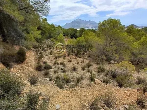 Terreno en Casco urbano