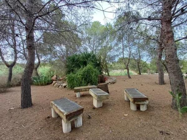 Terreno en Desamparados-Hurchillo-Torremendo