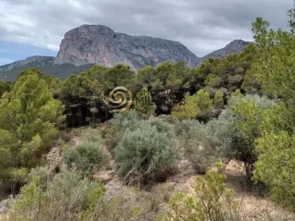 Terreno en Casco urbano