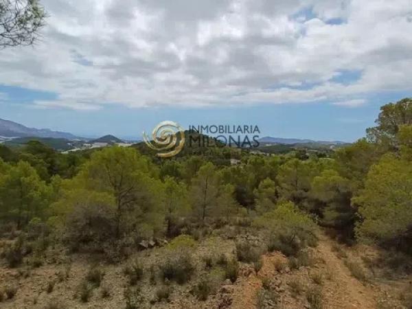 Terreno en Casco urbano