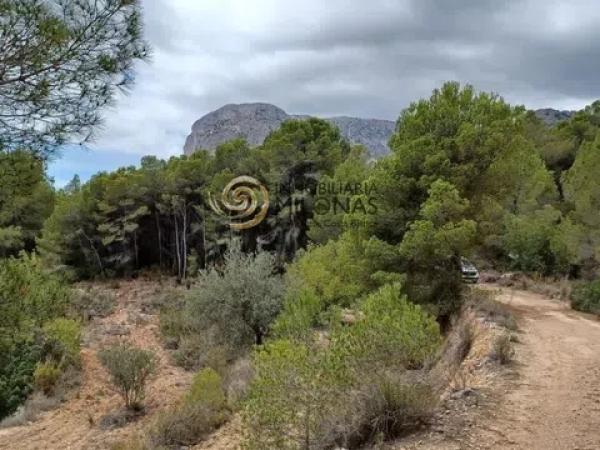 Terreno en Casco urbano