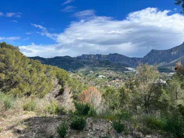 Terreno en Callosa d'En Sarria