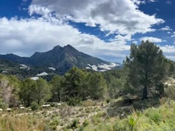 Terreno en Callosa d'En Sarria