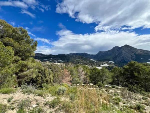 Terreno en Callosa d'En Sarria