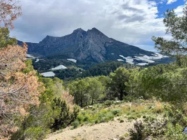 Terreno en Callosa d'En Sarria