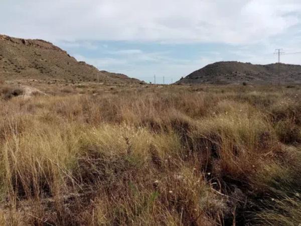 Terreno en Barrio Ciudad de Asís - Font-Calent - El Bacarot