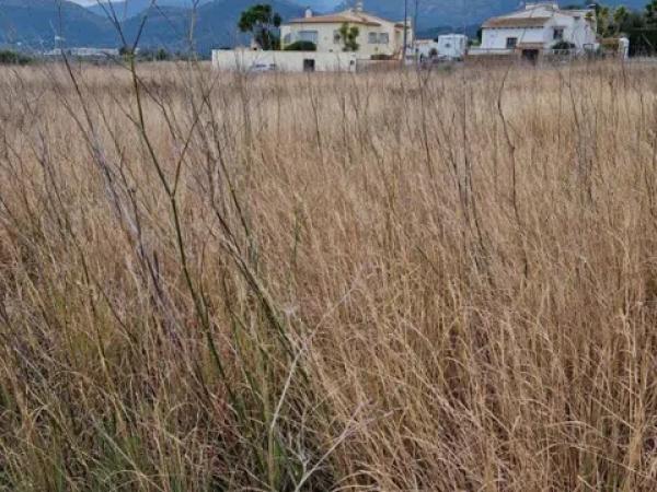 Terreno en Sorts s/n