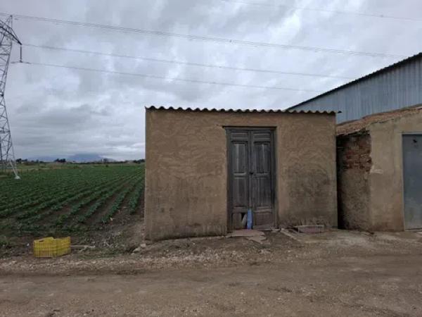Terreno en Partida lo Pedreño
