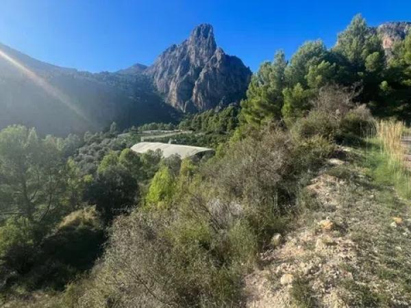 Terreno en Bolulla