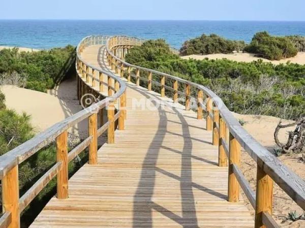 Terreno en calle Ausiàs March