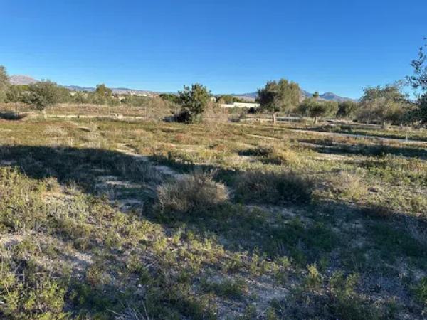 Terreno en camino de Marco s/n