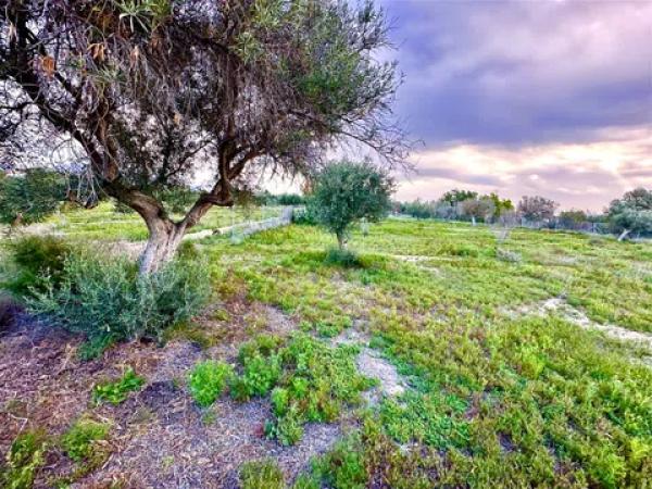 Terreno en camino de Marco s/n