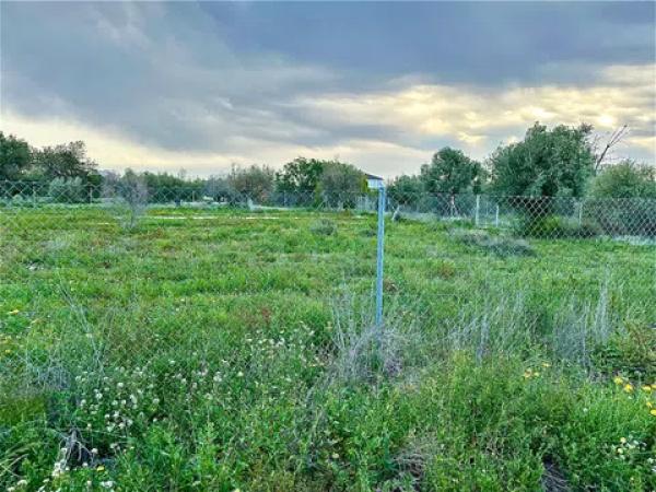 Terreno en camino de Marco s/n