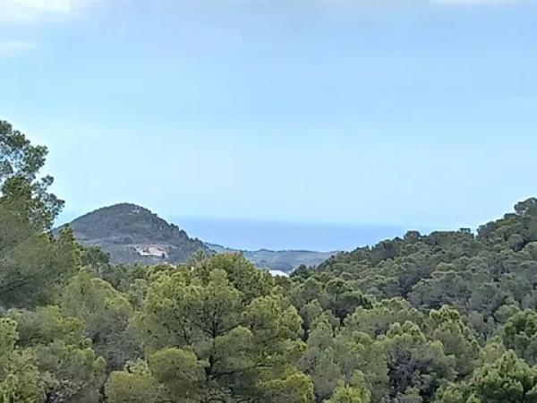 Terreno en Partida Campulles, 24