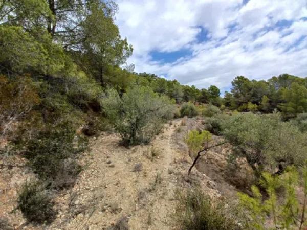 Terreno en Partida Campulles, 24